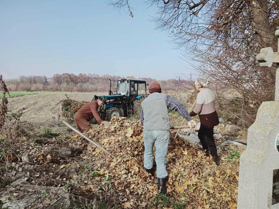 Толока в Забужжі