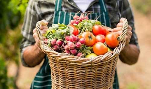 Особливості оподаткування власної сільськогосподарської продукції 